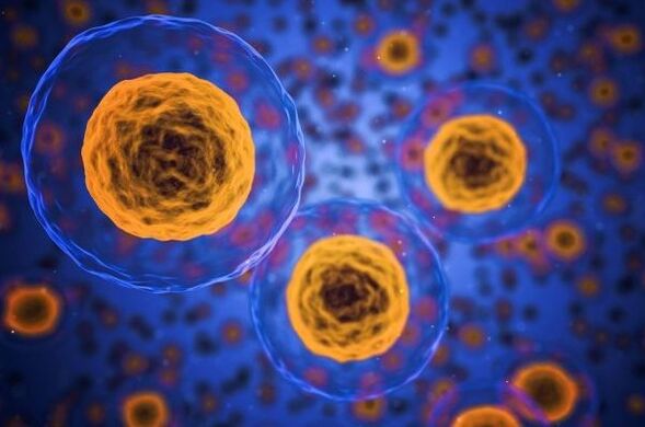 Kumaha prosés leungitna beurat lumangsung